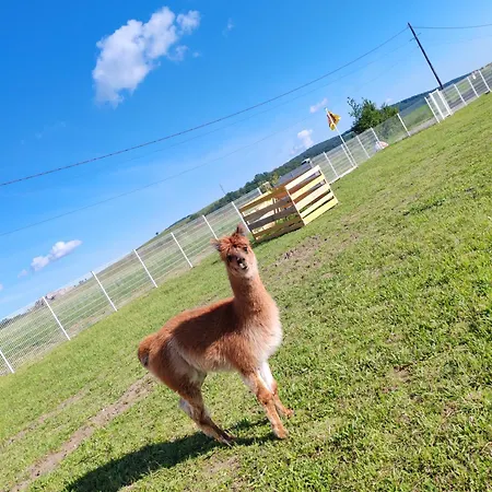 Semesterbostad La Tiny Des Bougnats Teilhede