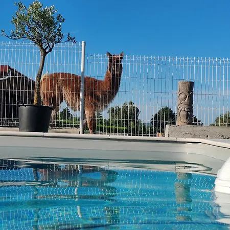 Semesterbostad La Tiny Des Bougnats Teilhede
